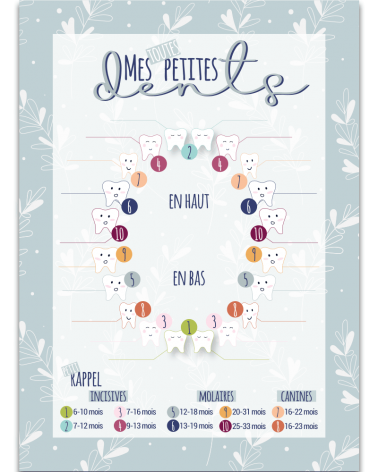 Carte à dents Eden - Verso