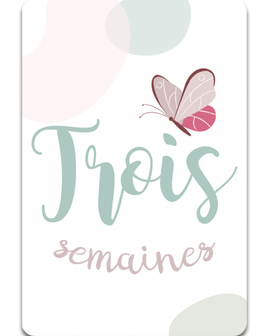 Carte Etape Lou - Recto - 3 semaines