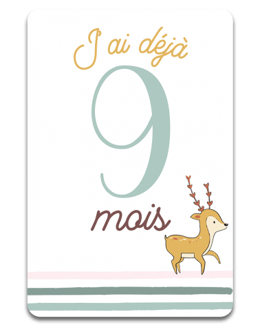 Cartes Etape Milo - Recto - 9 mois
