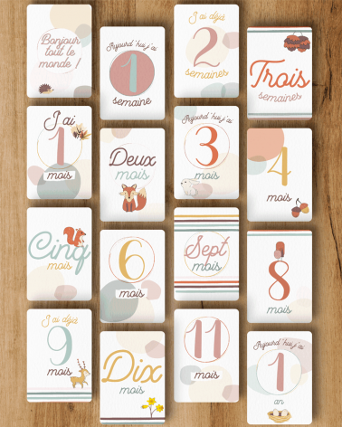 Cartes Etape Milo - Recto